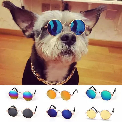 Gafas de sol para mascotas Perros y gato