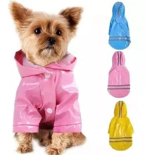 Ropa para perros y gatos, impermeable